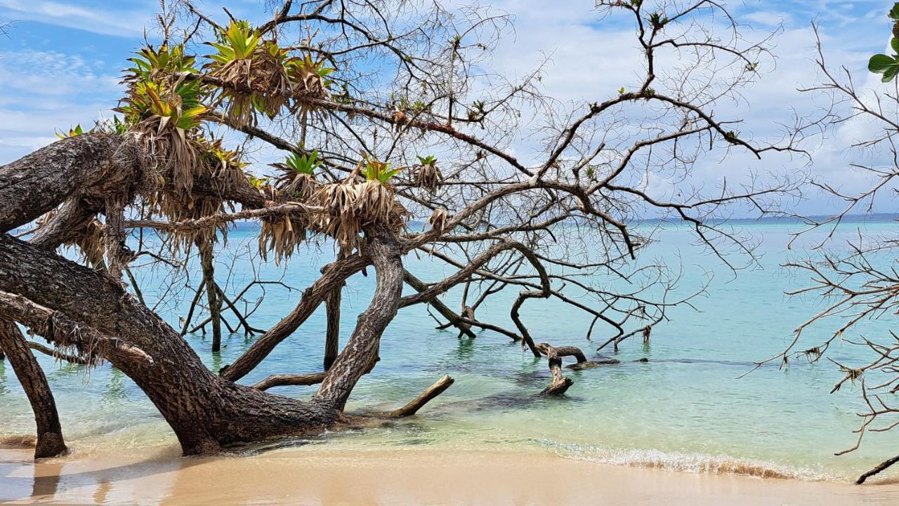 El Clandestino Villa Bocas Town Luaran gambar